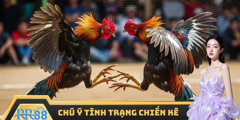 Chú ý tình trạng chiến kê